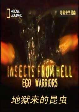 地狱来的昆虫迅雷下载