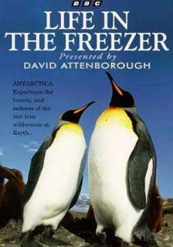 ��ѩ��ͯ��