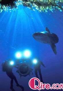 ����ĺ���