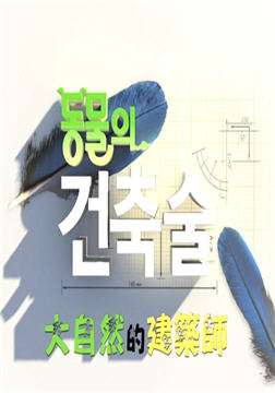 ����Ȼ�Ľ���ʦ