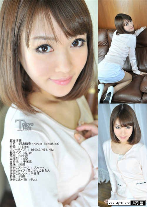 河岛晴香种子