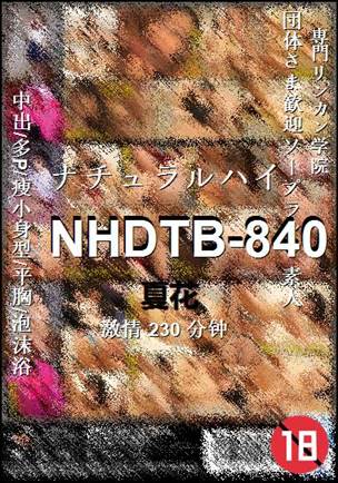NHDTB-840����