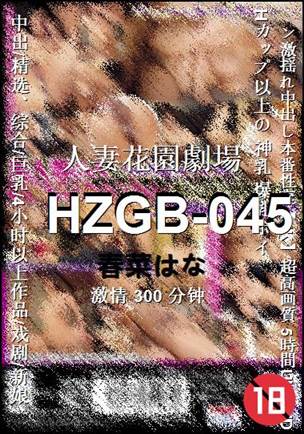 HZGB-045