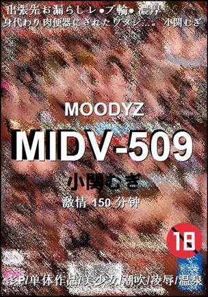 MIDV-509种子