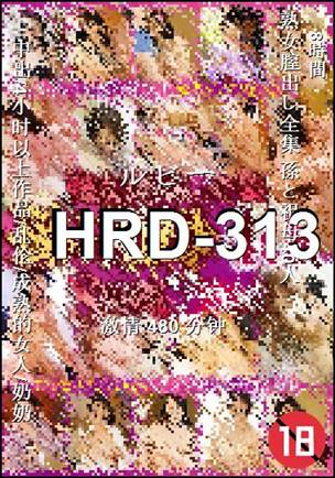 HRD-313种子