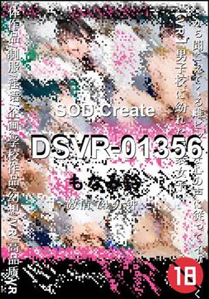 DSVR-01356种子