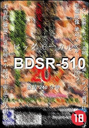BDSR-510
