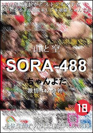 SORA-488种子