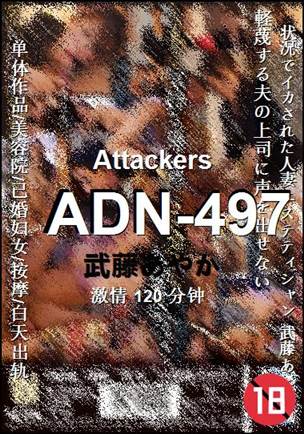 ADN-497