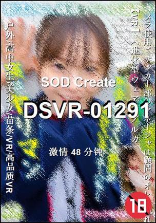 DSVR-01291