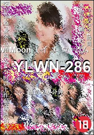 YLWN-286种子