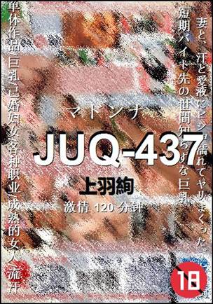 JUQ-437种子