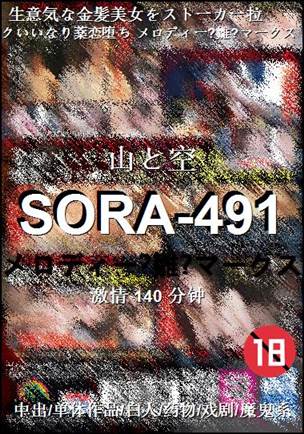 SORA-491种子