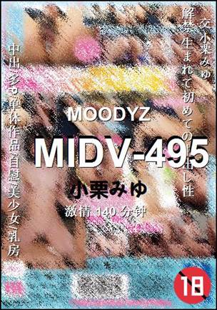 MIDV-495种子