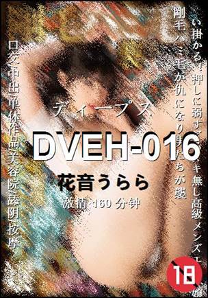 DVEH-016