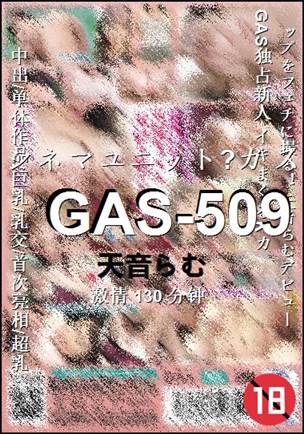 GAS-509种子