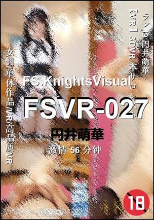 FSVR-027