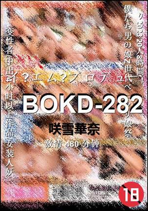 BOKD-282种子