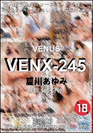 VENX-245种子