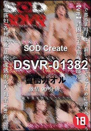 DSVR-01382