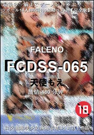 FCDSS-065