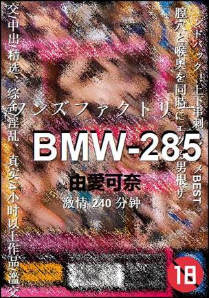 BMW-285种子