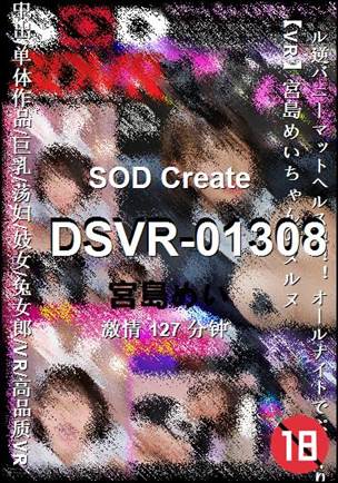 DSVR-01308