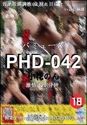 PHD-042种子