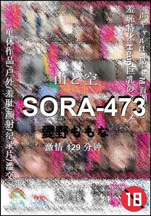 SORA-473种子