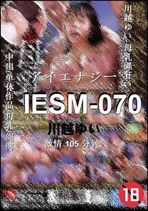 IESM-070