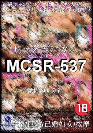 MCSR-537种子
