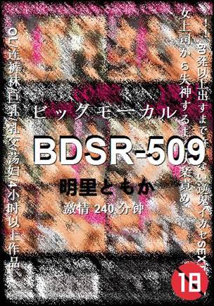 BDSR-509种子