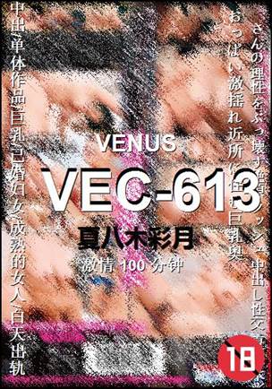 VEC-613