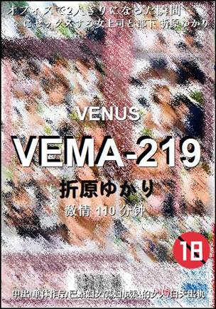 VEMA-219