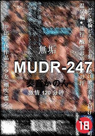 MUDR-247种子