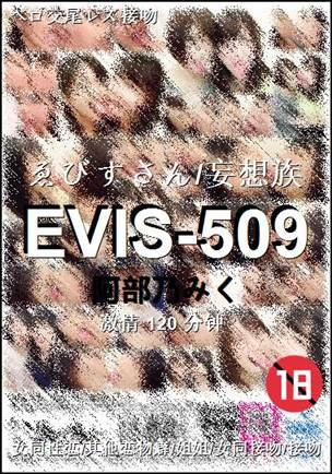 EVIS-509