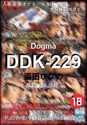 DDK-229种子