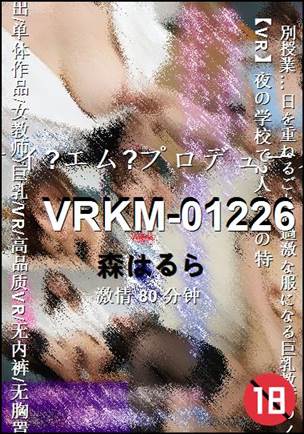 VRKM-01226