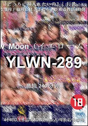 YLWN-289种子