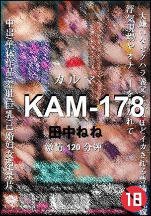 KAM-178