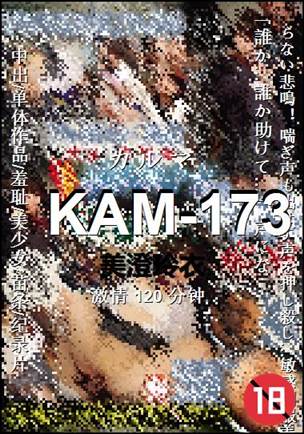 KAM-173种子