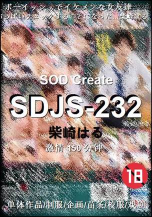 SDJS-232