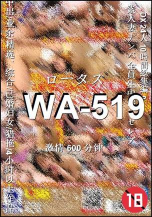 WA-519种子