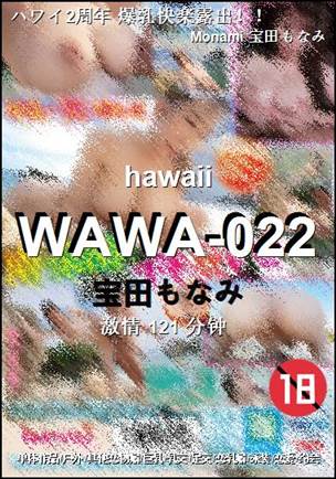 WAWA-022