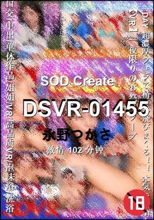 DSVR-01455种子