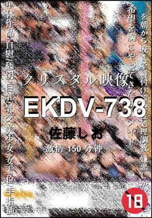 EKDV-738种子