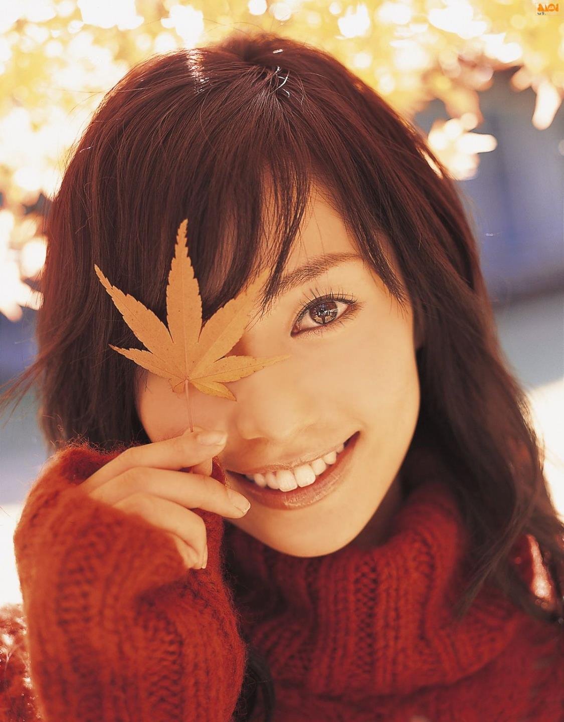 ������ʾ¼�������